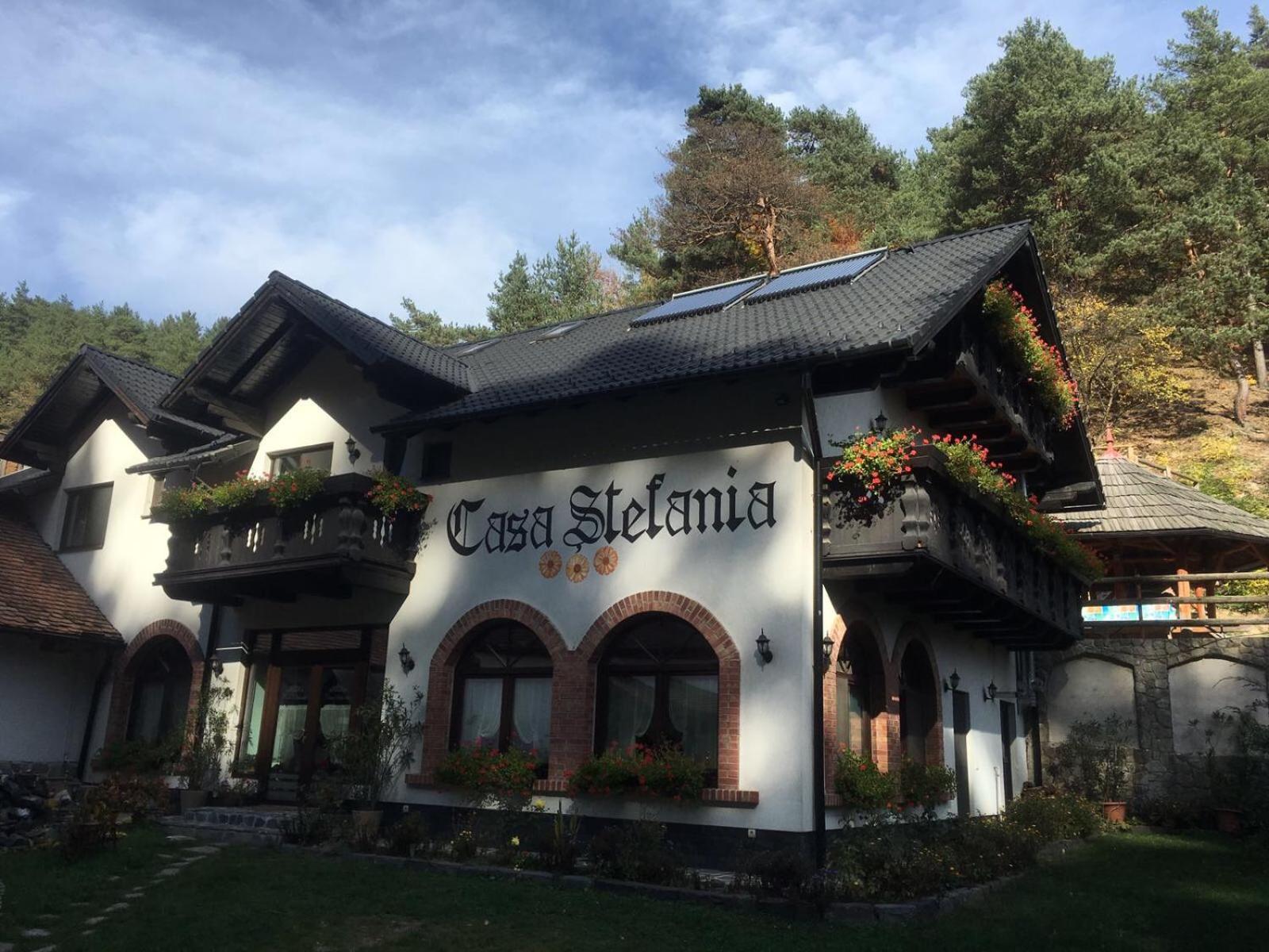 Tălmaciu 卡萨斯特凡旅馆酒店 外观 照片