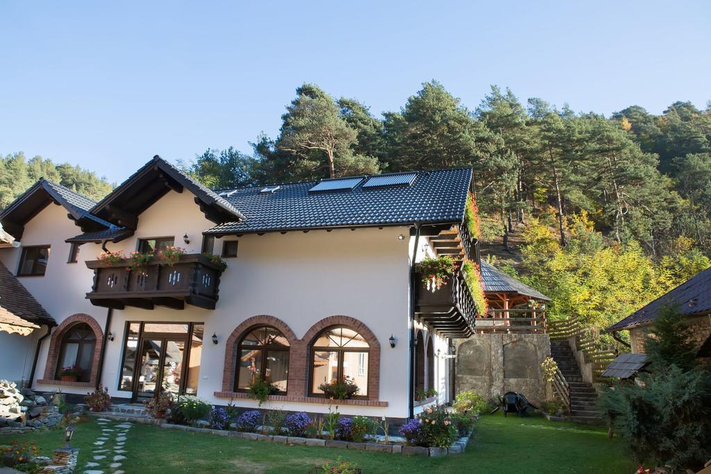 Tălmaciu 卡萨斯特凡旅馆酒店 外观 照片