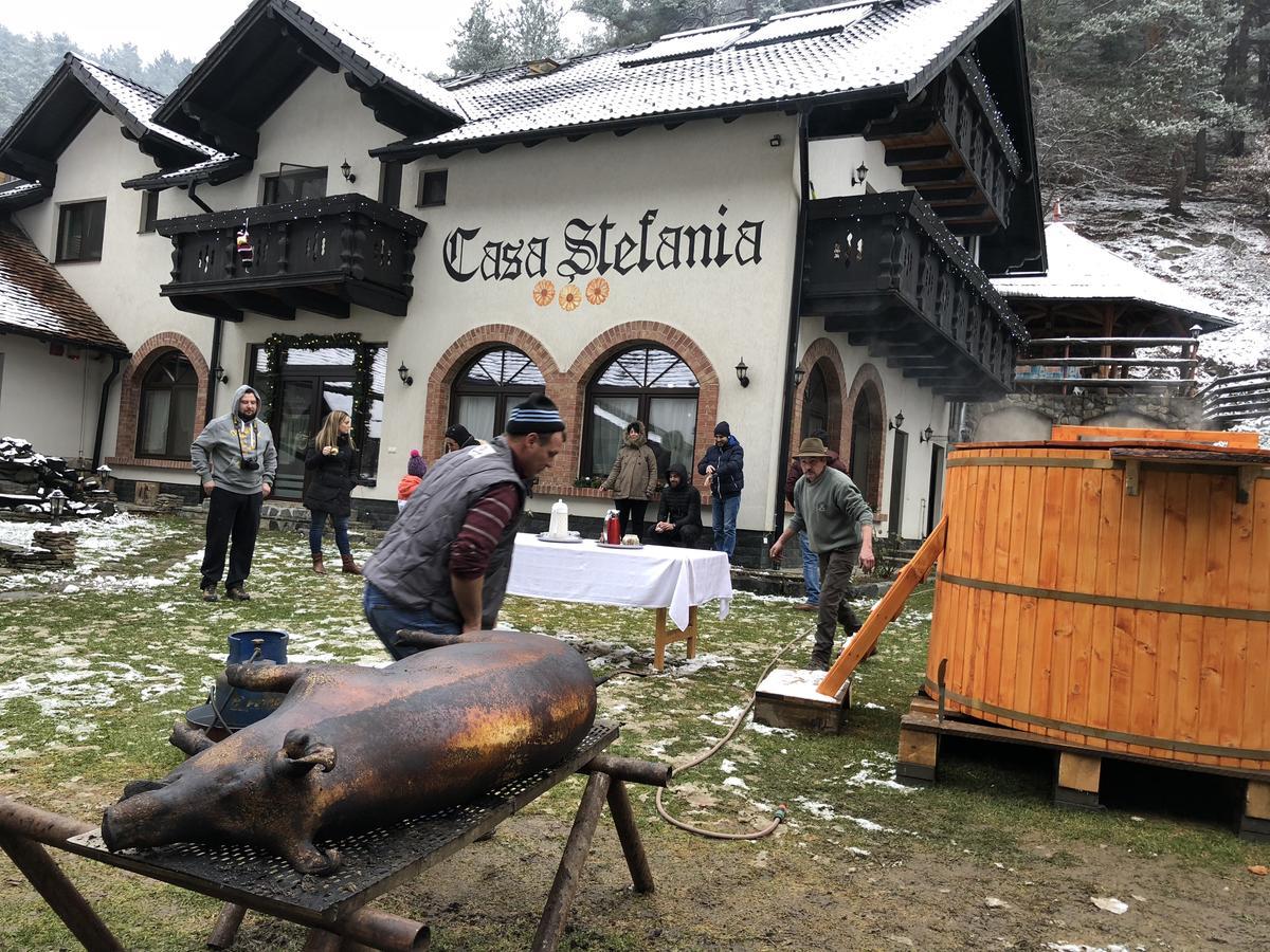 Tălmaciu 卡萨斯特凡旅馆酒店 外观 照片